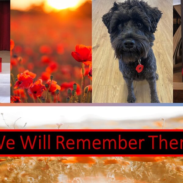 Image of Remembrance Day 2023